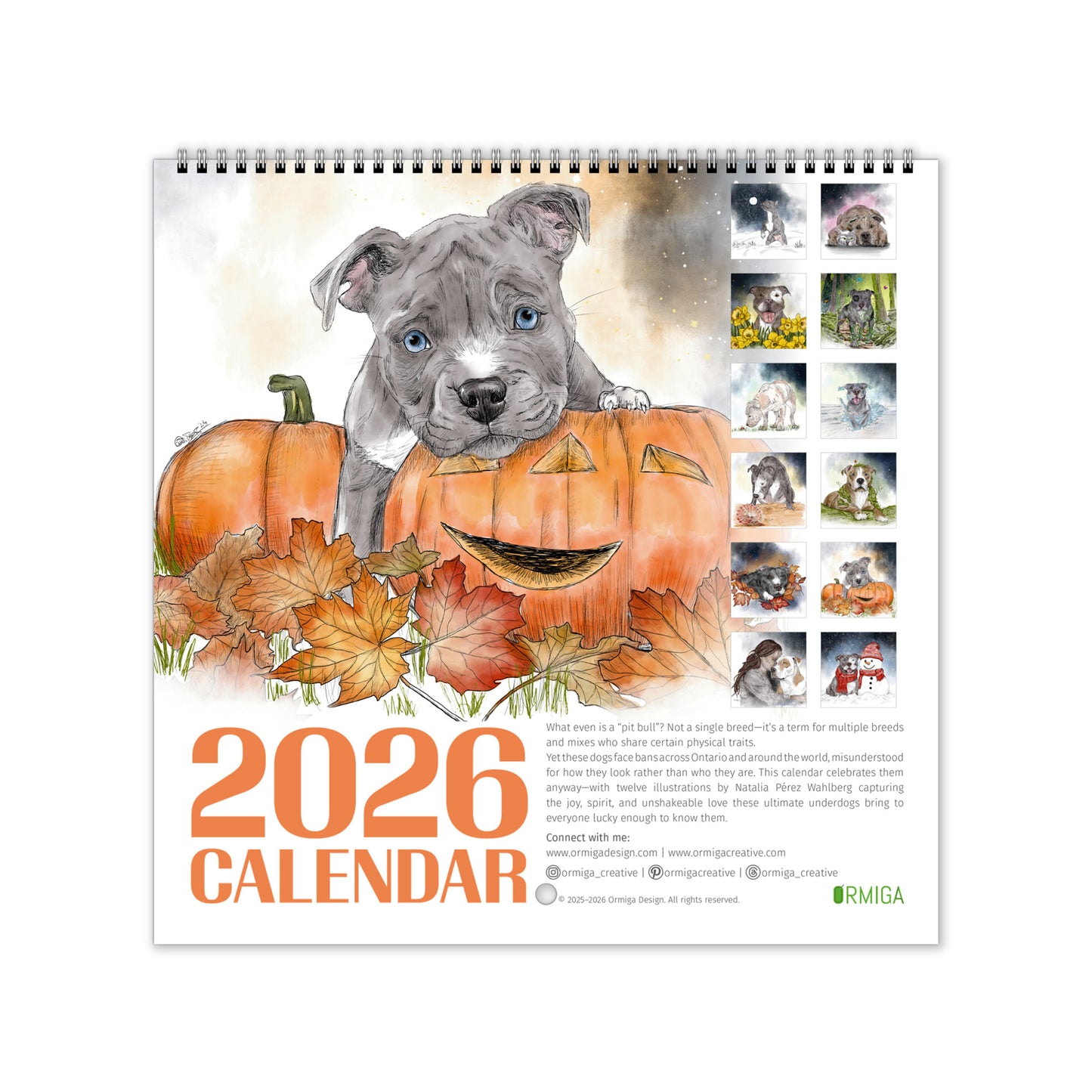 2026 Pit Bull Calendar | Illustrated Dog Art | Wall Calendar for Pit Bull Lovers  | North America only