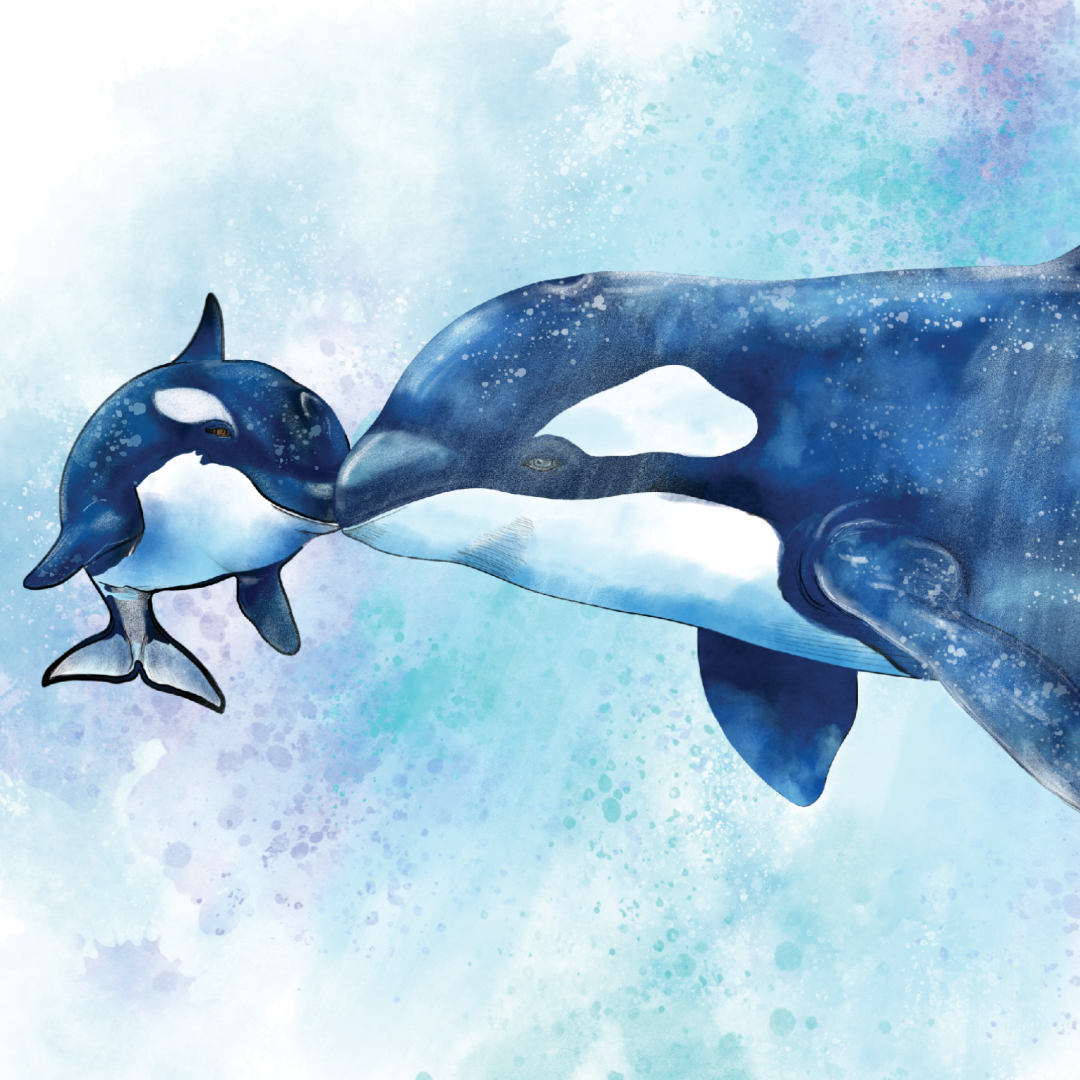 Orca Mother's Day Card | Hand-Illustrated Killer Whale Art | Funny Animal Mom Greeting Card