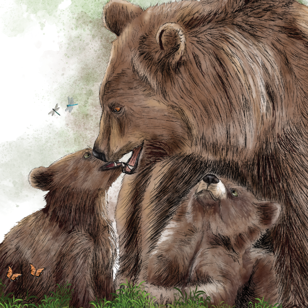 Grizzly Bear Mother's Day Card | Hand-Illustrated Wildlife Art | Animal Mom Greeting Card