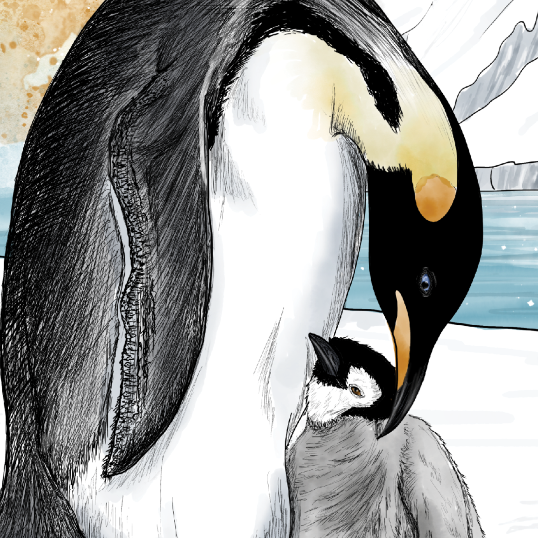 Emperor Penguin Mother's Day Card | Hand-Illustrated Wildlife Art | Tender Animal Mom Greeting Card