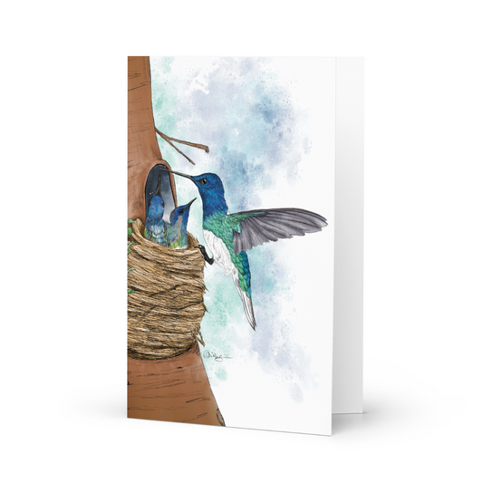Hummingbird Mother's Day Card | Hand-Illustrated Wildlife Art | Greeting Card for Mom