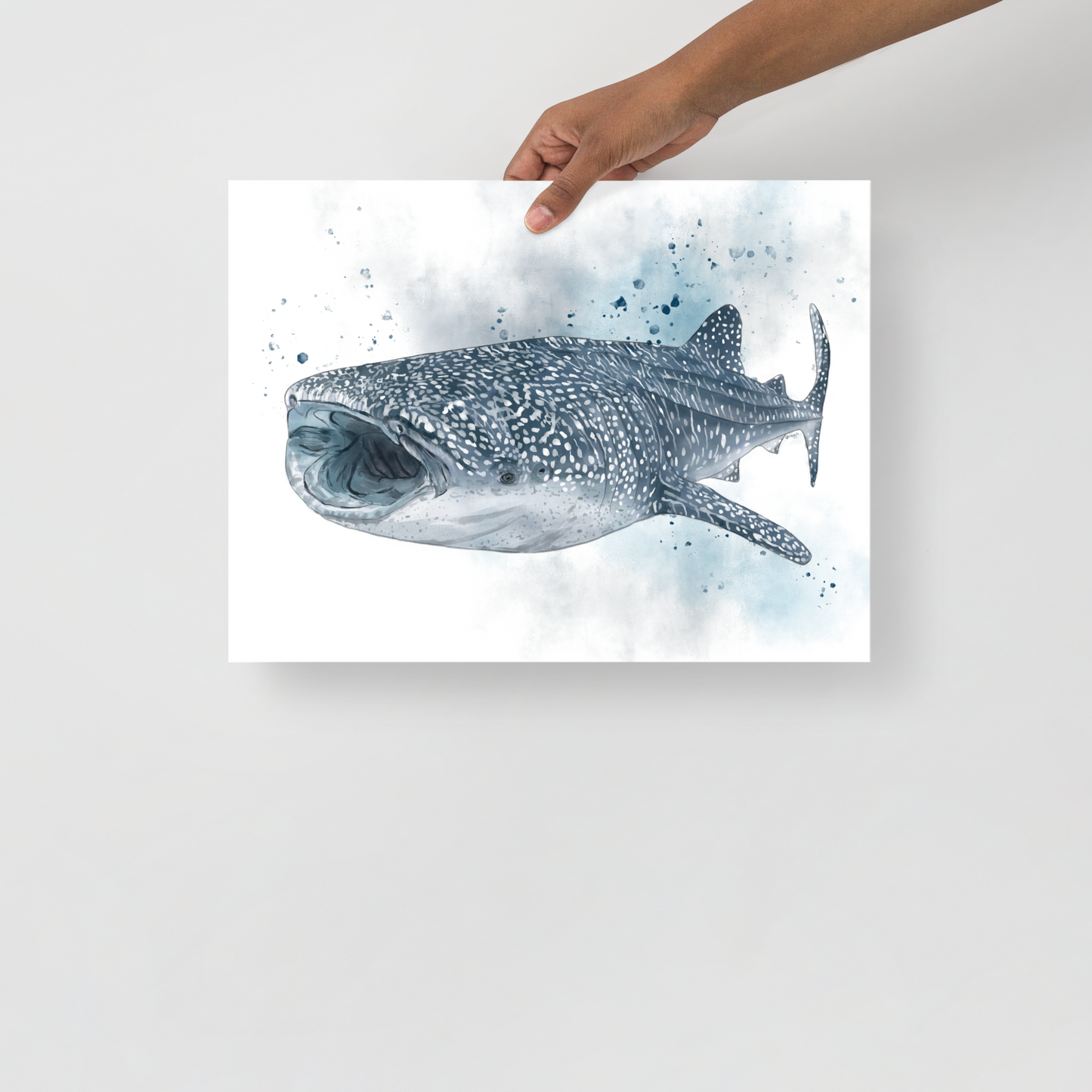 Whale Shark Illustration Poster | Ocean Wildlife Wall Art Print