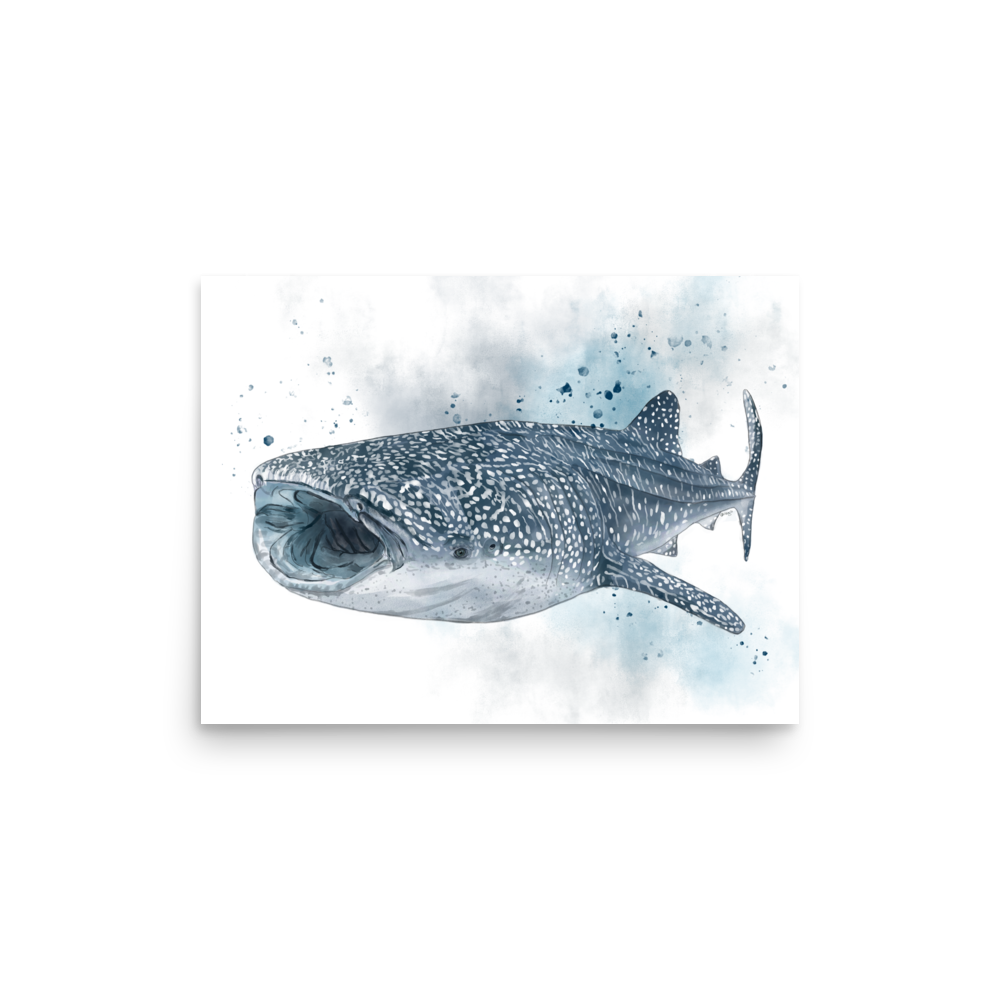 Whale Shark Illustration Poster | Ocean Wildlife Wall Art Print