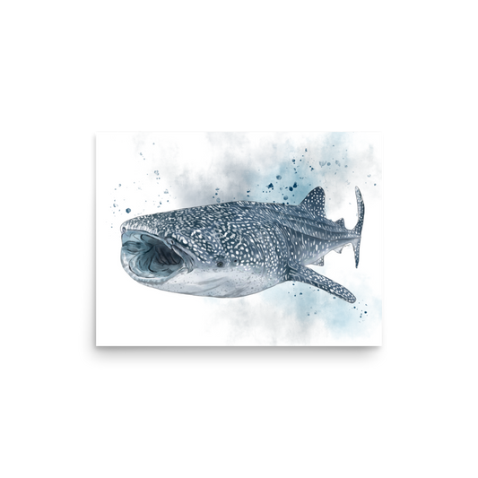 Whale Shark Illustration Poster | Ocean Wildlife Wall Art Print